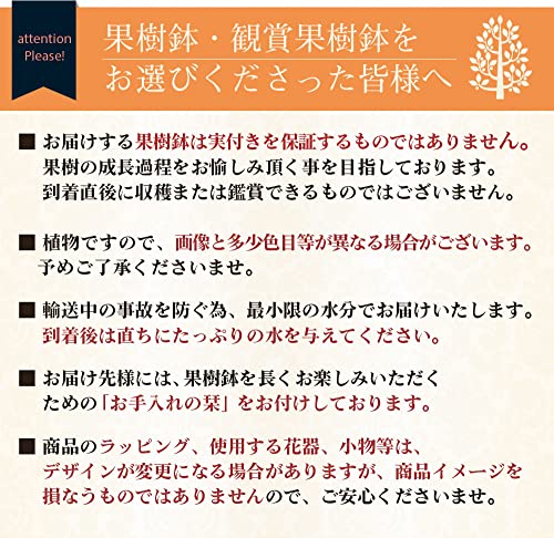 キウイの育て方 栽培のコツ プロが教える家庭菜園 あぐりマッチ キウイの育て方 栽培のコツ プロが教える家庭菜園 あぐりマッチ
