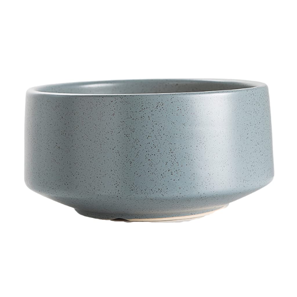 Vasi da Giardino Vaso di Fiori succulenti per la casa per la Decorazione Domestica, fioriere per vasi in Ceramica con Fori di drenaggio e piattini per Desktop