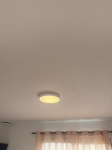 982456_5 982456_5