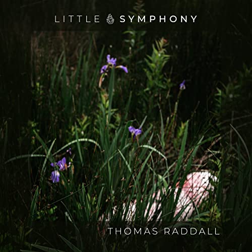 Tom Raddall Play Thomas Raddall by Little Symphony on Amazon Music