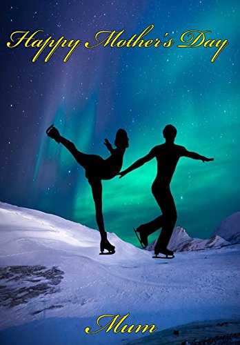 Northern Lights Ice Skating NMD292 Fun cute Happy