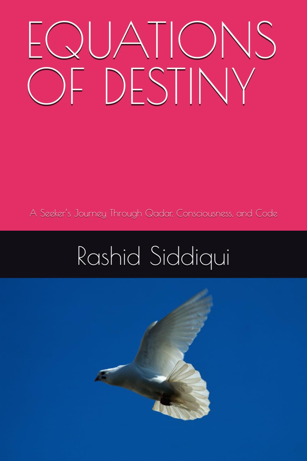 EQUATIONS OF DESTINY: A Seeker’s Journey Through Qadar, Consciousness, and Code