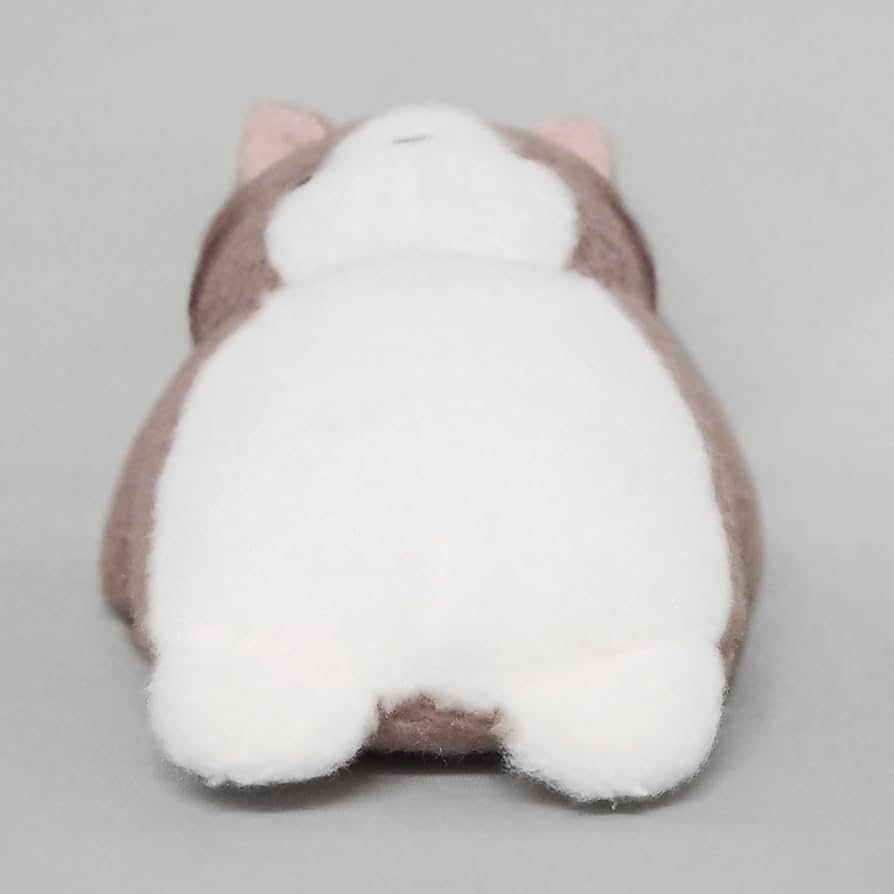 Amazon.co.jp: 三英貿易(Sanei Boeki) ちるめいと ねこ W11×D15