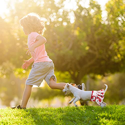 Jspupifip 3 Pack Washable Female Dog Diapers - No Leak, Highly Absorbent Doggie Diapers Dress With Adjustable Snap Buttons For Female Dog Period Incontinence Puppy Training - Xs Size #TOP3