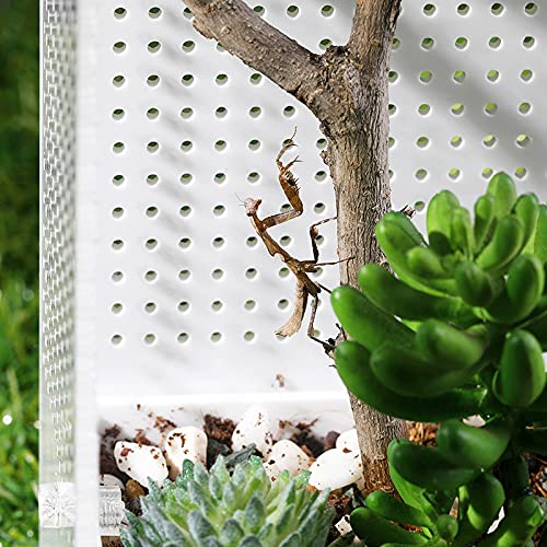 VOVEY Transparante Reptiel Voeding Doos Ademend Acryl Insect Fokken Doos met Klimmen Net Reptiel Fokken Case voor Mini… - Afbeelding 3