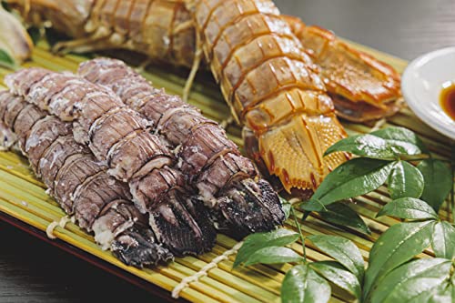 kCMs эymX MOlY HVR IX 10 117cmO MYi VRGr  p Mtgp ٓ т̂ ܂