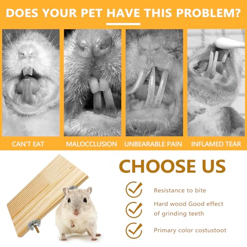 Image of 2Pcs Hamster Wooden Ledge Platform 7.5 x 4 inch Rat Stand Platform Chew Toys Cage Accessories for Squirrel Gerbil Suger Glider Rat Hamsters Bird