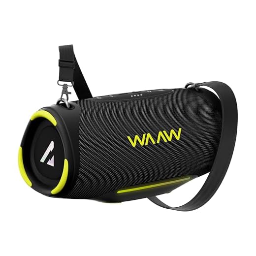 WAAW by Alok BOOM 150 80W RMS