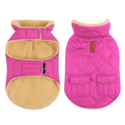 CITÉTOILE Cappotto Invernale per Cani - Gilet Termico con Lana Spessa, Giacca Antivento per Chihuahua e Razze Piccole/Medie/Grandi, Foro con Corda di Trazione, Rosa, XS