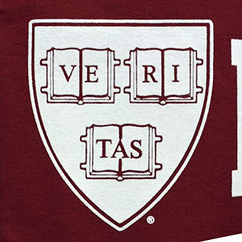 Image of College Pennants, Full-Size, 12 inch x 30 inch Banner