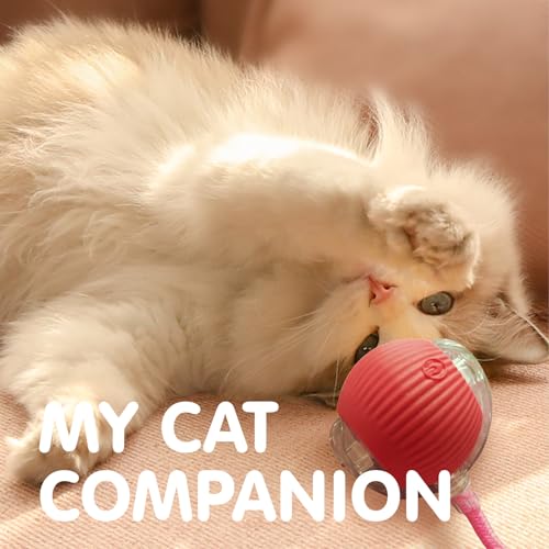 Rocfish Smart Automatic Cat Chase Ball (Rechargeable) — view 8