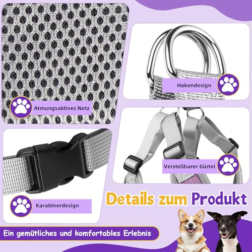 3 Stück Hundegeschirr und Leine Set, Verstellbares Brustgeschirr, Reflektierendes atmungsaktives Hundegeschirr mit D-Ring, Hundegeschirrs Set für Welpen, Kleine Hunde