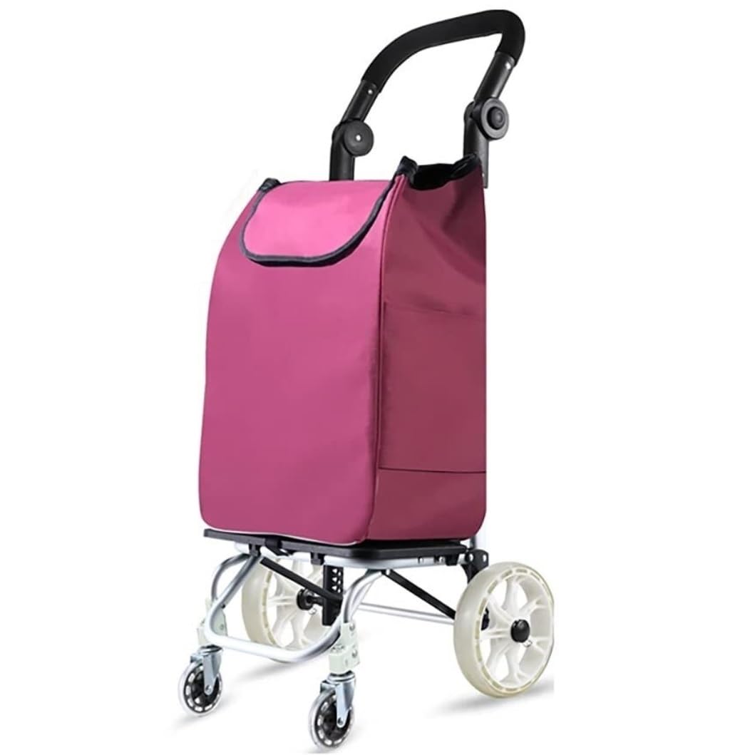 Chariot de courses pliable 2 en 1 avec grand sac étanche amovible robuste