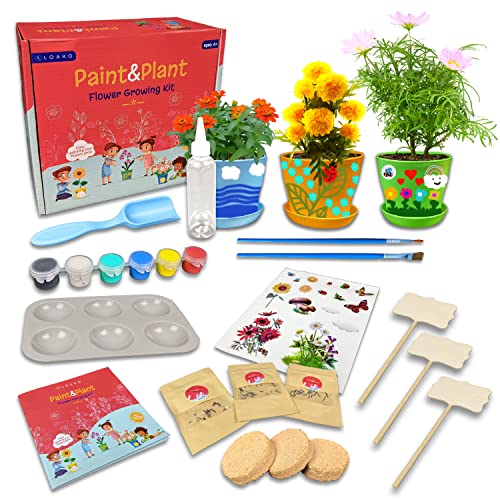 Paint and Plant Flower Growing Kit for Kids - Kids Gardening...