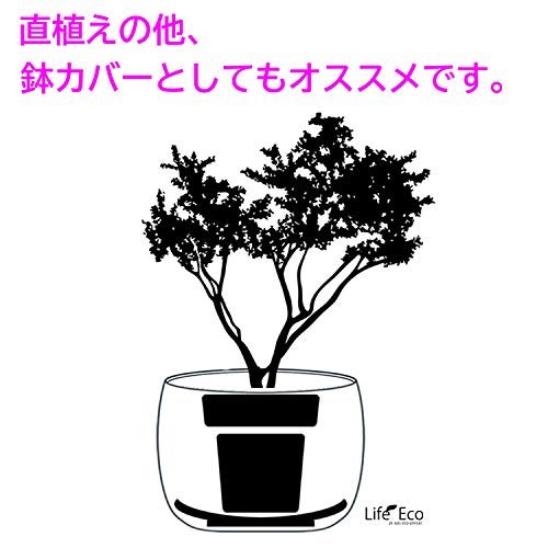 Amazon | 樹脂製ポット JENA 受皿付 カシスレッド □21cm 植木鉢