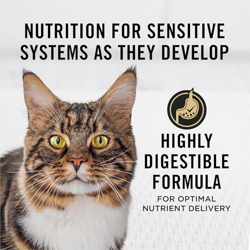 Purina Pro Plan Sensitive Skin and Stomach Cat Food Dry, Salmon and Rice Formula, High-Protein Dry Cat Food for Sensitive Stomachs 16 Pou...