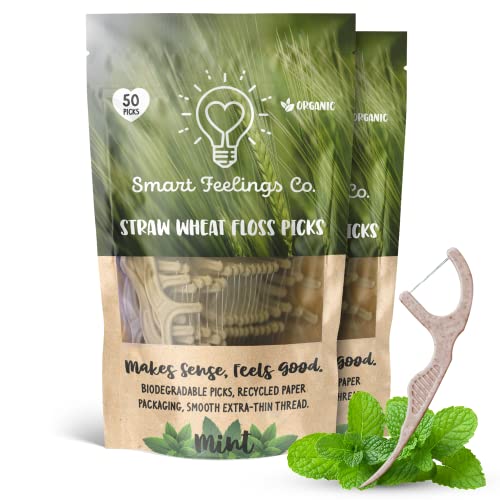 Biodegradable-Dental-Floss-Picks-100-Count-2-Packs-Eco-Friendly-Bamboo-Like-Straw-Wheat-Sustainable-Mint-Flavored-Flossers-for-Kids-and-Adult-Teeth-Cleaning-for-The-Enviromentally-Conscious