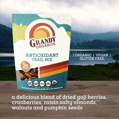 Grandy Organics Antioxidant Path Combine, Natural Combined Nuts & Superfood Snack Combine, Grain