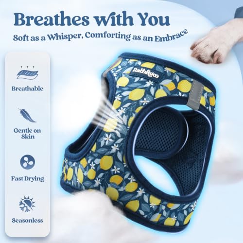 Image of rabbitgoo Dog Harness Small Sized and Leash Set, Step-in Puppy Pet Vest