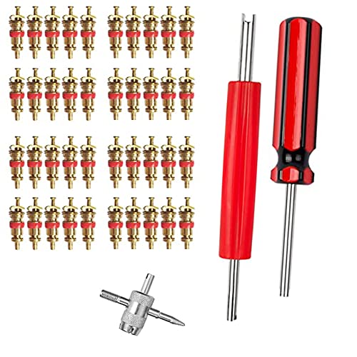 Sayago Démonte obus de Valve Outil de Reparation/Outils pour Valves de Pneus Valve Core Remover avec 40 pcs Valve Core pour Voiture Remplacement Cover