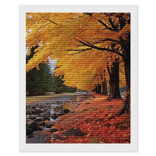 Kit peinture diamant adultes MNVTSKOP broderie diamant automne débutant