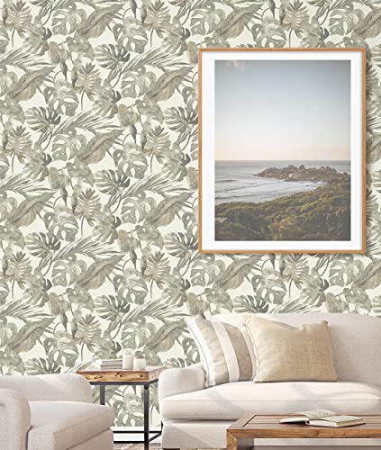 Image of Tommy Bahama - Peel and Stick Wallpaper, Tropical Wallpaper for Bedroom, Powder Room, Kitchen, Vinyl, 30.75 Sq Ft Coverage (Falling Fronds Collection, Dusk)