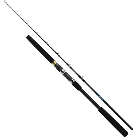 Amazon ダイワ Daiwa 船竿 アオリイカ X 130 釣り竿 ダイワ Daiwa 船竿