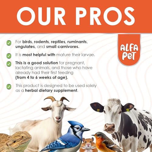 Cat & Dog Herbal Broad Spectrum Cleanser – Liquid Cleanse for Puppy & Kitten – Digestive Support & Better Nutrition Absorption for Pets – Wormwood, Pumpkin Seeds and Carrot in The Composition – 2 Oz