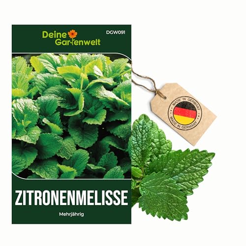 Zitronenmelisse Samen - Melissa officinalis - Zitronenmelissesamen - Kräutersamen - Saatgut für 150 Pflanzen