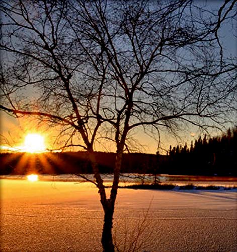Wandkalender mit Licht - Winterzauber