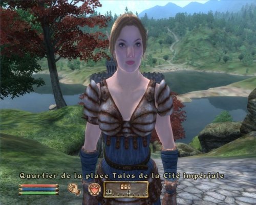 Oblivion : Add On De The Elder Scrolls Iv : Knights Of The Nine Pc - vue 8