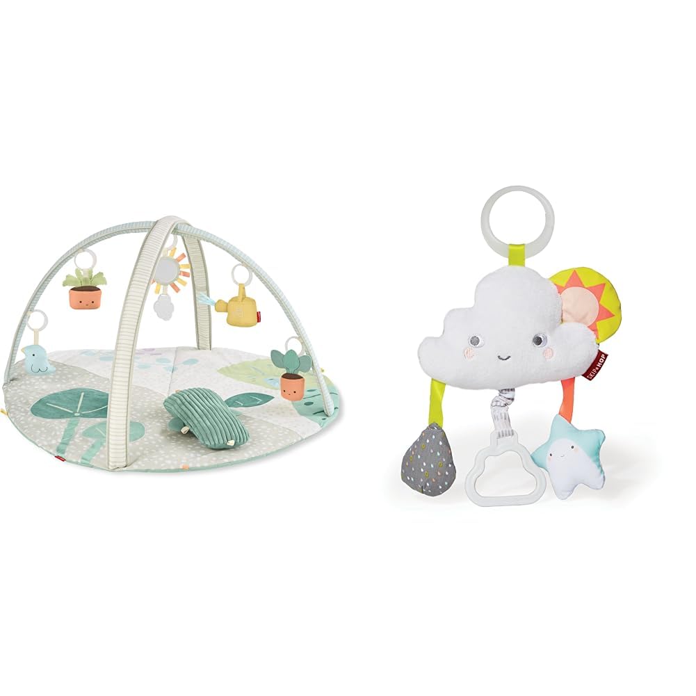 Amazon.com : Skip Hop Baby Play Gym Garden Oasis Green Multi with