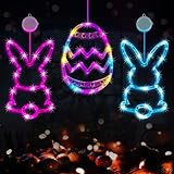 Spinosaurus 3 Pack Easter Decorations for Windows Bunny/Eggs Led String Lights Easter Day Hanging Lights Decor Indoor String Lights Holiday Display