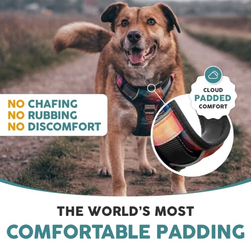 Embark Urban Dog Harness, No Pull Dog Harness With 2 Leash Clips, Dog Harness For Medium Dogs No Pull. Front & Back With Control Handle, Adjustable Black Dog Vest, Soft & Padded For Comfort #TOP5