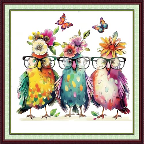 Image of Foxhool Stamped Cross Stitch Kits,11CT Printed Cross Stitch Pattern Full Embroidery Kits for Beginner Needlepoint Kits-Three Birds Wearing Glasses 18x18 inchs
