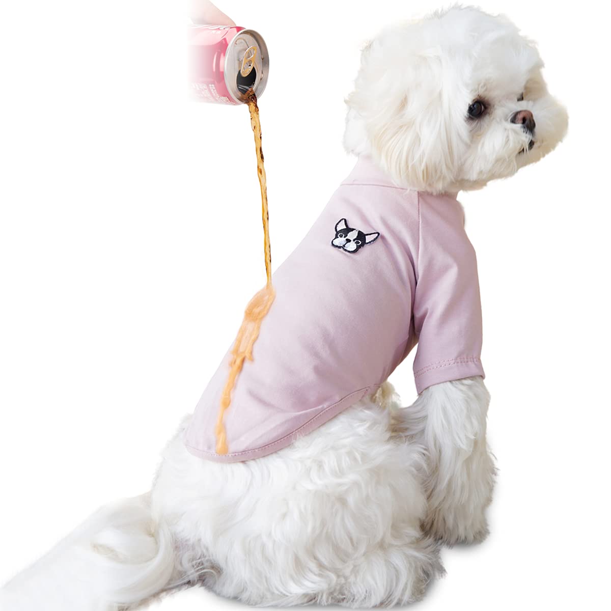 How Do I Stop My Puppy From Pulling On My Clothes