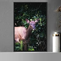 Framed Canvas Wall Art Deer Animals Deer Multicolor Photography Rustic Urban - 16x24 inches