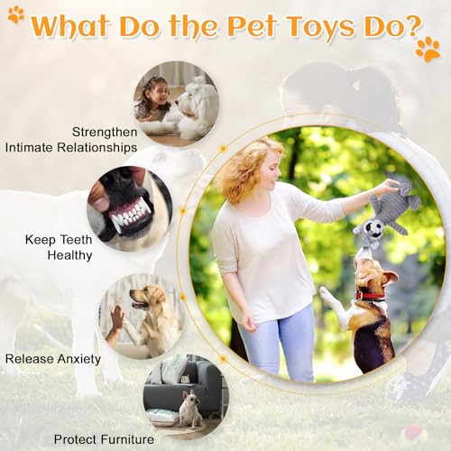 BoleShine Hundespielzeug Quietschendes, Zahnreinigendes Hundespielzeug Plüsch Interaktives Spielsachen Kauspielzeug Gefüllte Spielzeug für Welpen, Kleine, Mittlere, Große Hunde (Grauer Waschbär)