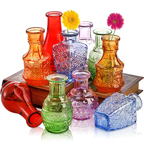 DEAYOU 10 Stück Glasvasen, kleine transparente Blumenvase für Tafelaufsatz, Mini-Vintage-Blumenflasche, Bunte lebendige Einzelknospenvasen, zierliche Tisch-Blumenvasen für Pflanzen, Heimdekoration,