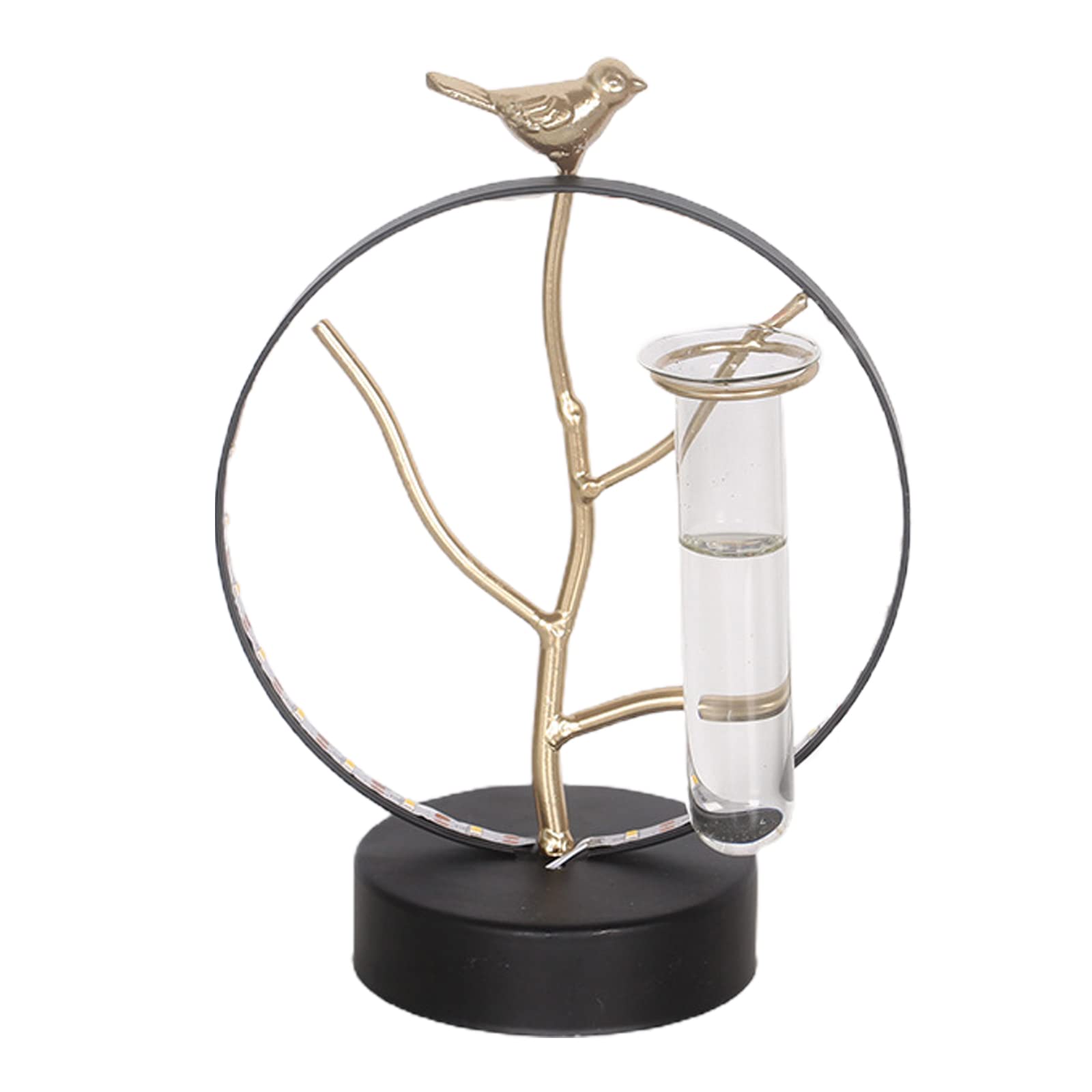 NBKKSW Pre-light Plant Terrarium with with Iron Art Frame, Test Tube Propagation Station, Glass Planter Propagation Station for Propagating Hydroponic Plants Home Garden Wedding Decoration