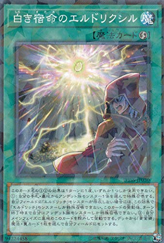 キズナフィールド　シークレット　白夜王ヤイバ 状態B〕(2025/12)キズナフィールド(アニメ背景/白夜王ヤイバ