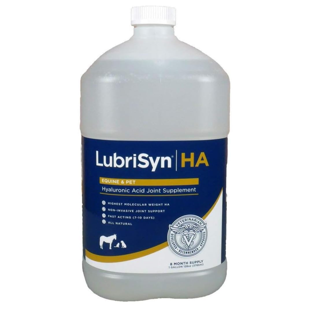 LubriSyn Joint Supplement for Canine & Equine, 1-Gallon by Lubrisyn