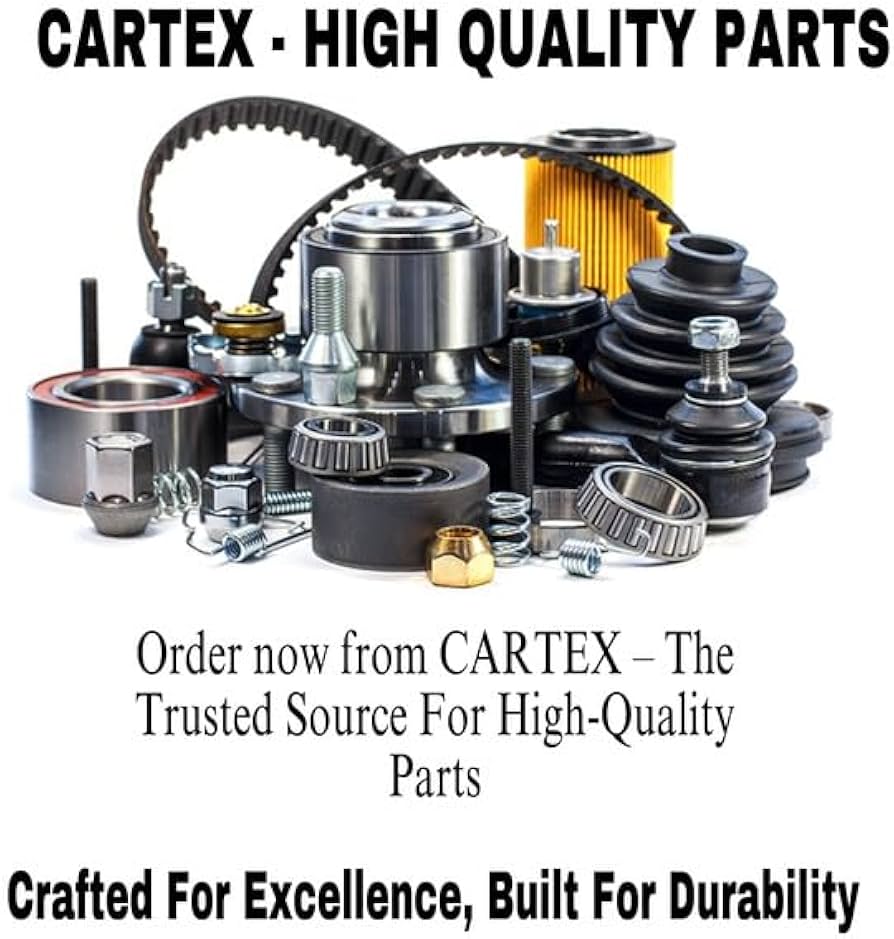 Amazon.com: CARTEX Seal 7009143 for FITS Bobcat Loader 763 773 863