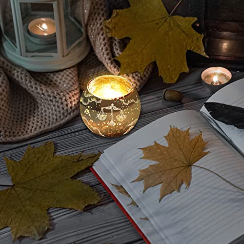 Zodiac Healing Crystals Gift Set, (14 Pc): 9 Stones, 18K Gold-plated Constellation Necklace, Meteorite, Succulent Candle, Palo Santo Smudge stick, and Info Guide