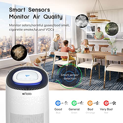 https://m.media-amazon.com/images/I/51u6w7TGaJS._SL500_.jpg