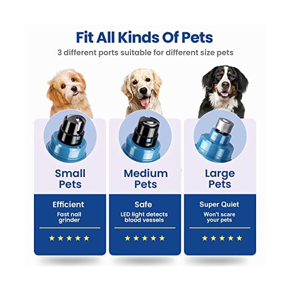 Deeloki dog nail grinder with led light upgraded 2 speeds painless pet dog nail trimmers and clipper super quiet best cat dog nail clipper kit for large small dogs pets cats breed paws quick grooming - image 4