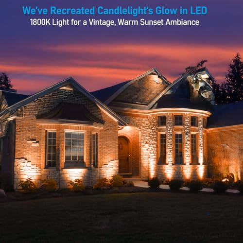 Image of LEONLITE 4-Pack 5CCT Wall Wash Dimmable LED Low Voltage Landscape Lights