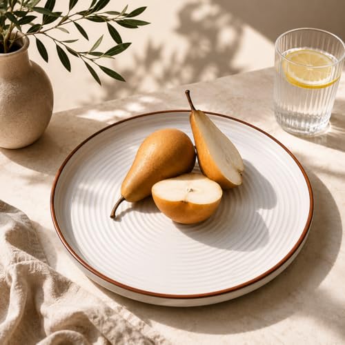 Image of TRESA Stoneware Ceramic Dinner Plate | White with Brown Rim |10.5 Inch, Matte Finish, Cafe Style Textured Round Plate for Everyday Use