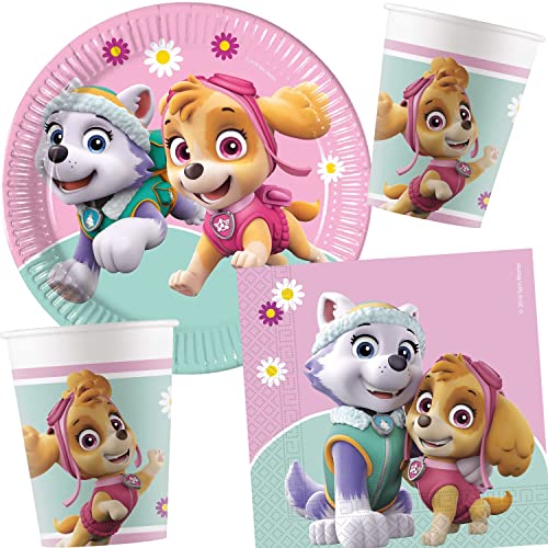 Kit de fête 36 pièces « Sky & Everest » avec assiettes en carton, serviettes et gobelets en carton pour anniversaire d'enfant et fête à thème | Gobelet...
