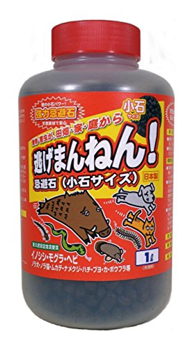 }[L[(MERCURY) ܂˂ ΃TCY 1L [[U]